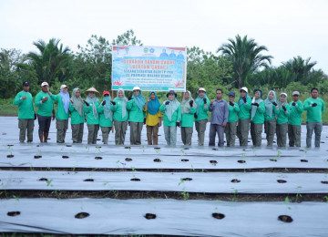 TP PKK Haltim Ikut Sukseskan Gertam Cabai se-Maluku Utara